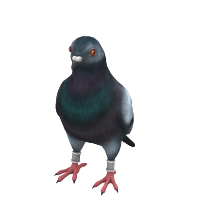 Pigeon Suit (✔)