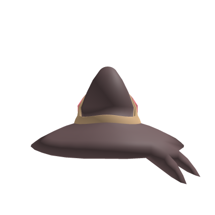 Viridilly Cat Witch Hat