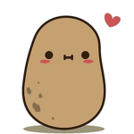 bjr les patate