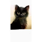 Kitty's United