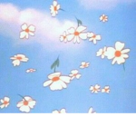 Flower garden :)