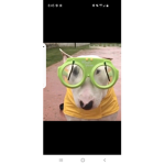 Cleff fan group