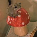 The Frog Family <3