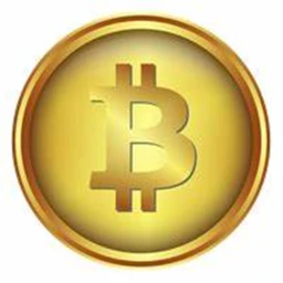Coin simulator icon