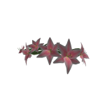 NPO ZAPP Flower Headband
