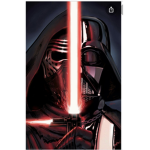 Darth vader group123