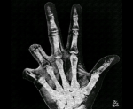 SteadySpazzin