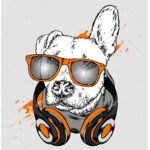Lazy Dogs studio