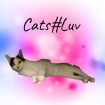 Cats#Luv