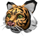 Neon Tiger Team