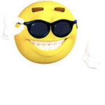 S I M