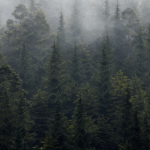 Natural Nature
