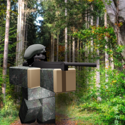 Victory Army DMZ Training Zone