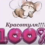алкопати