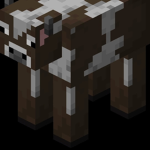 Cow-playz fan group