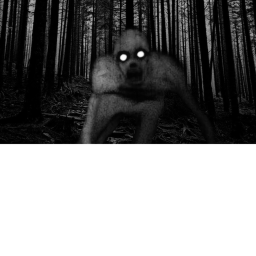 forest...