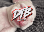 dtb production