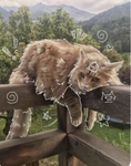 Mow-meow
