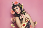 katy perry rocks (part of me lovers)