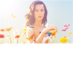 Katy Perry FANatics!