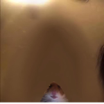 The sth group