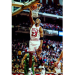 Micheal Jordan fam