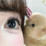 wochu Group Thumbnail