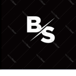 The official BloxSquad