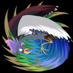 The Birb zone