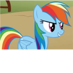 Rainbow Dash Fan-Club!