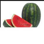 Watermelon STAN club