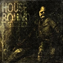 Housebound icon