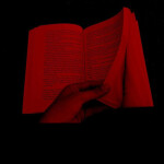 𝖍𝖆𝖉 𝖔𝖓𝖊