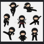 TheEpikNinjas