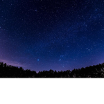 Growing night