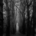 Hello And Welcome THX 4 being here!!! Group Thumbnail