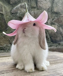 .BUNNY SWEETHEARTS.