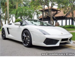 BMW and Lamborghini Fans