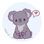 Koalas Fans