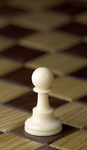 Crayfish's Chess Club