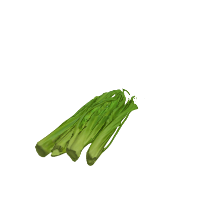 Chives Model