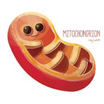The mitochondria monsters