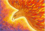 Hawkclan (Warriors)