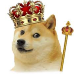 TheREALDoge-Kingdom