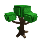Acorn plant