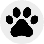 Paw Studios [OFFICIAL]
