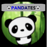 Team Panda Tes