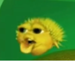 Duckies and noddles