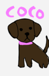 Coco's Dog friends
