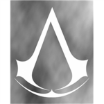 The assasins in the future